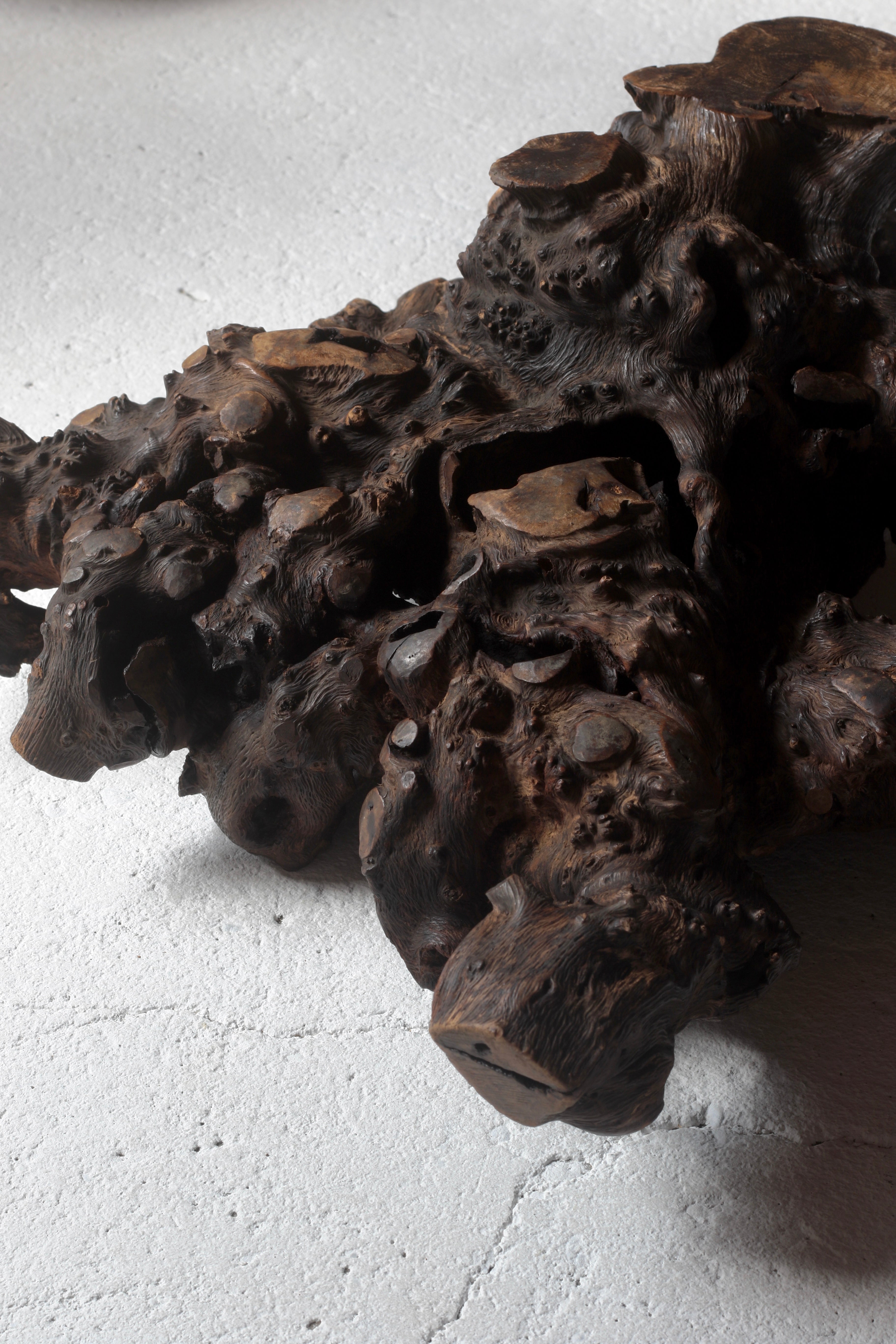 木材、瘤　壁掛け 木の瘤 – Rem Remake Furniture